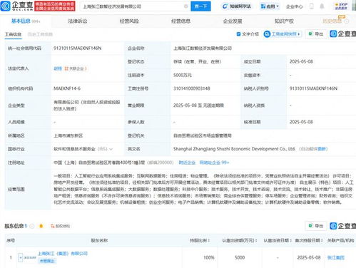 張江集團(tuán)布局未來(lái) 成立數(shù)智經(jīng)濟(jì)發(fā)展公司，深耕數(shù)據(jù)處理服務(wù)新藍(lán)海